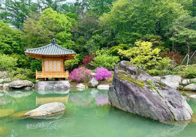 메덩골정원 사진