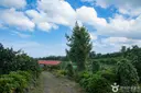 귤의정원 바령 사진