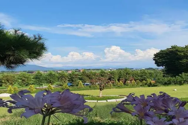 함라정원 사진