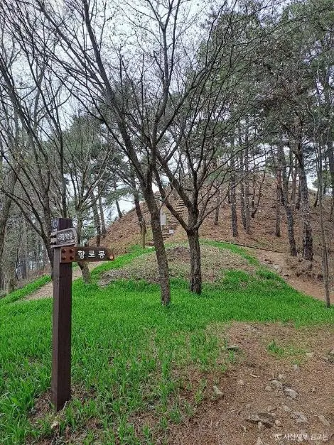 무주 향로산 자연휴양림 사진