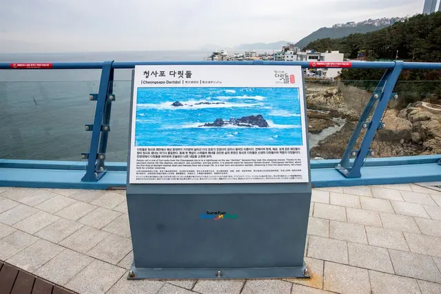 청사포 다릿돌전망대 사진