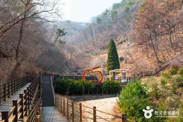 좌구산 자연휴양림 사진
