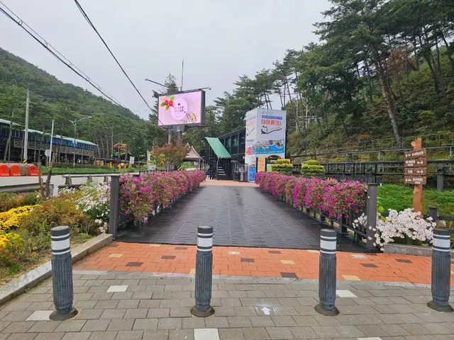 속리산테마파크모노레일 사진