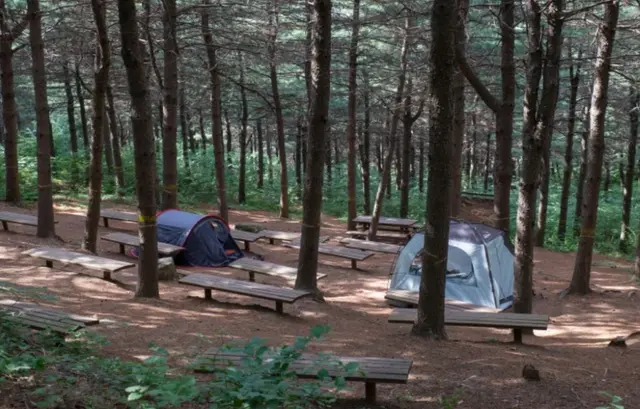 독산성산림욕장 사진