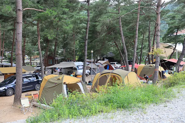 용오름캠핑장 사진