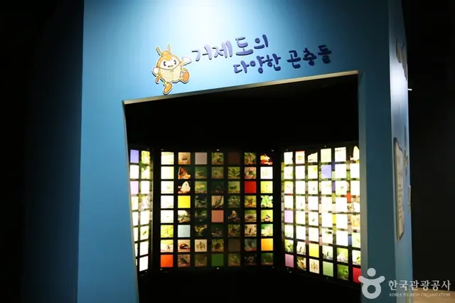 거제곤충생태박물관 사진
