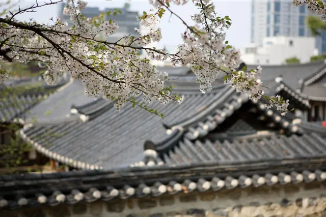 남산골한옥마을 사진