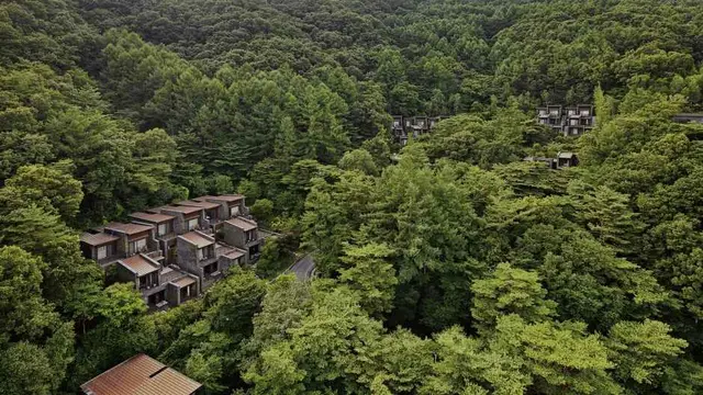 포레스트 리솜 해브나인 스파 사진