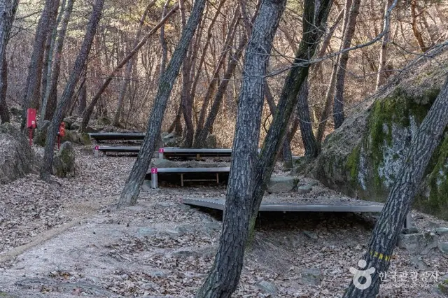 성주봉자연휴양림 사진