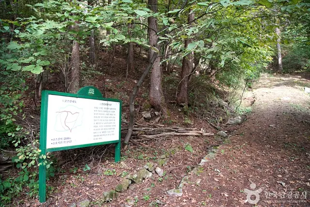 치악산자연휴양림 사진