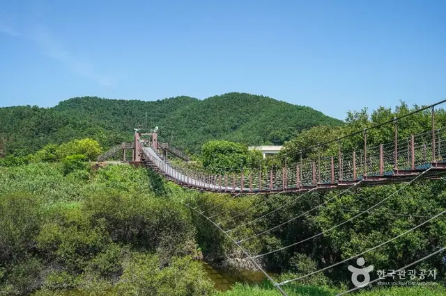 우포출렁다리 사진
