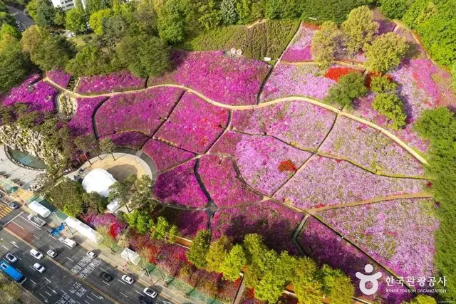 철쭉동산 사진