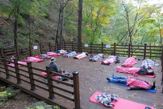 국립대관령치유의숲 사진