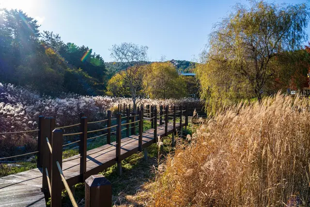 통영RCE세자트라숲 사진