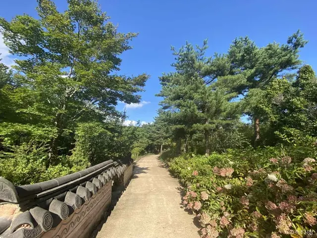 설악산 자생식물원 사진