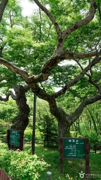 은평한옥마을 사진