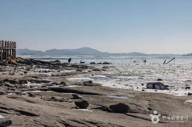 동막해변 사진