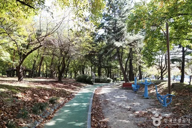 창원 중앙체육공원 사진