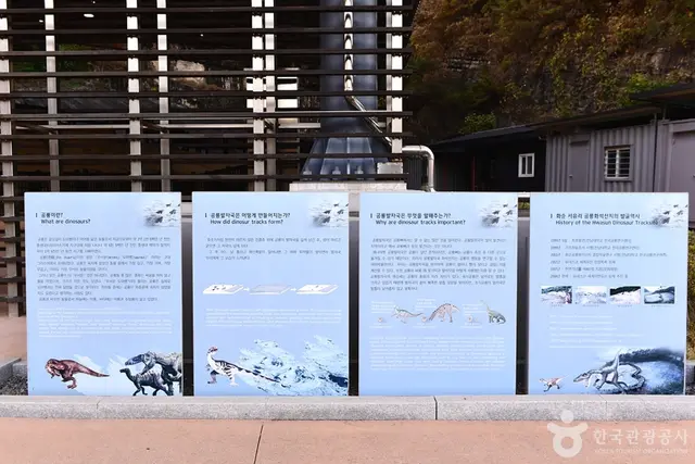 화순 서유리 공룡발자국 화석산지 사진
