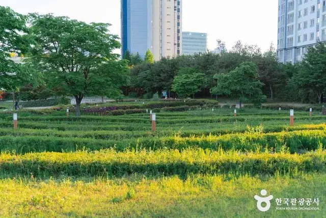 푸른뜰근린공원 사진