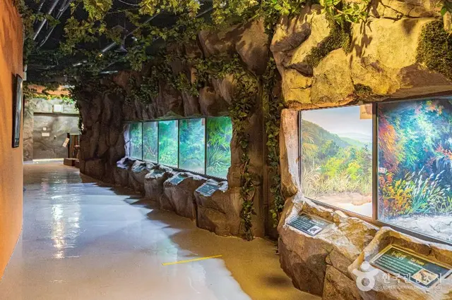함평양서파충류생태공원 사진