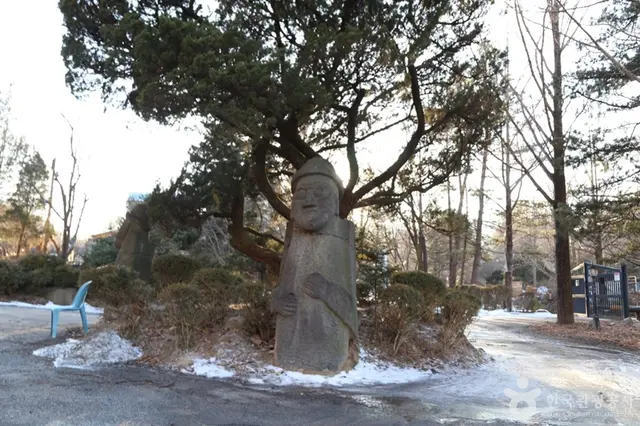 금원수목원수영장 사진