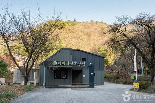 청평자연휴양림 사진