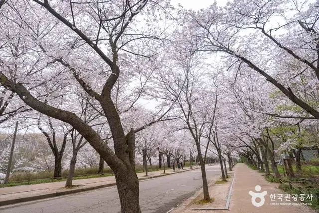인천대공원 사진
