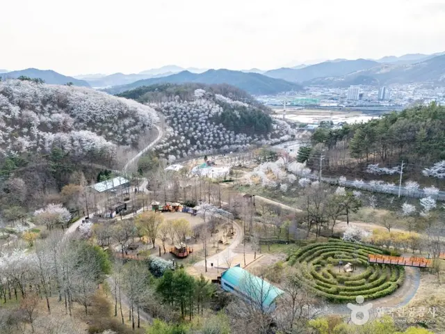 대가야수목원 사진
