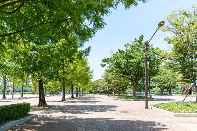 일산호수 사진