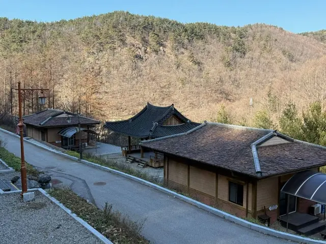 충북알프스자연휴양림 사진
