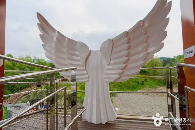 영동와인전망대 사진