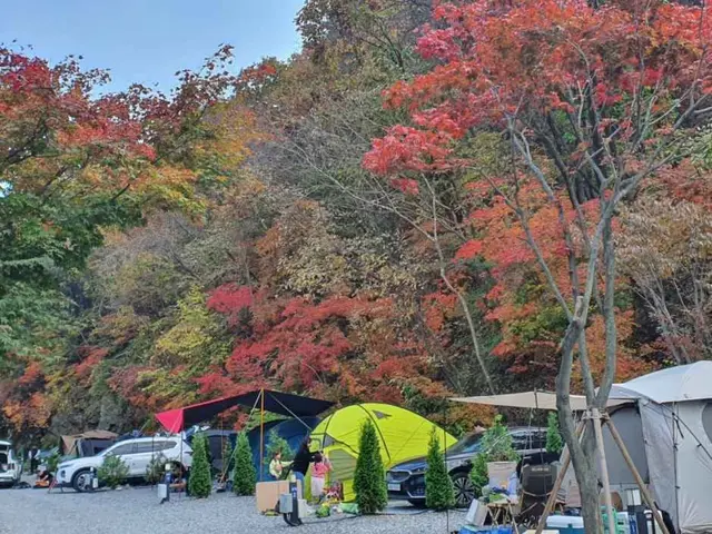 산정호수돌고래캠핑장 사진