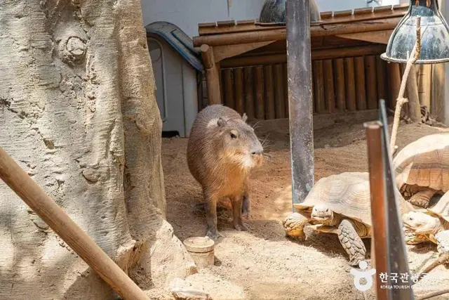 네이처파크 사진