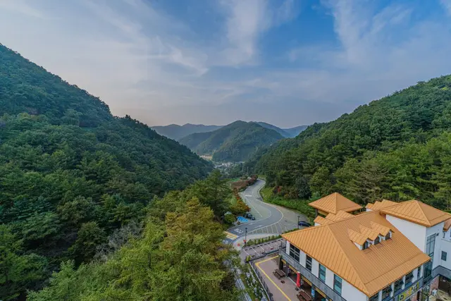 좌구산 자연휴양림 사진