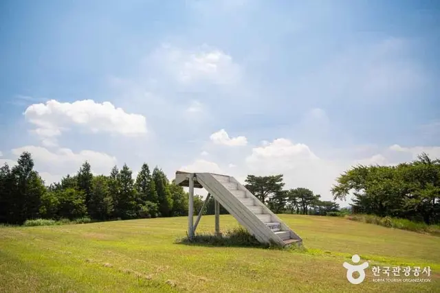 화랑의언덕 사진