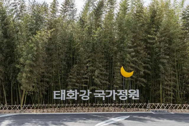 태화강 국가정원 사진