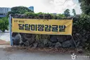 달달미깡감귤밭 사진