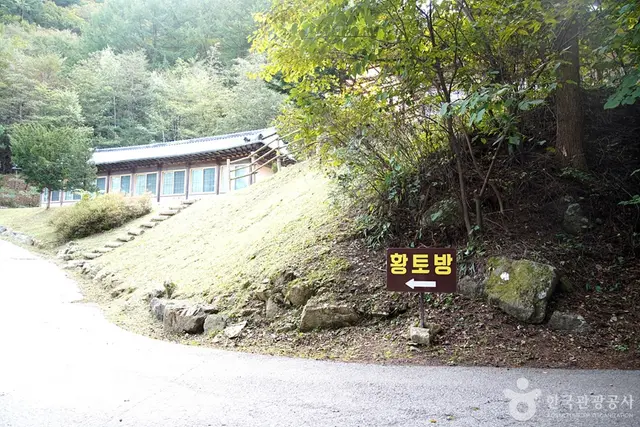 치악산자연휴양림 사진