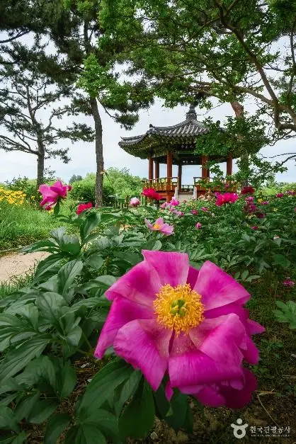 한밭수목원 사진
