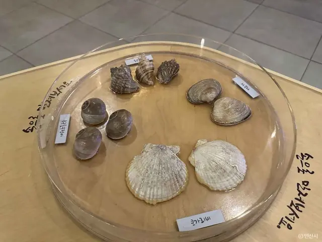 안산어촌민속박물관 사진