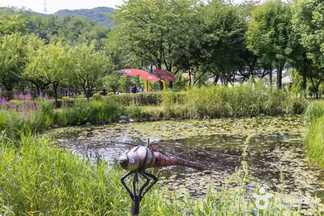 인천나비공원 사진