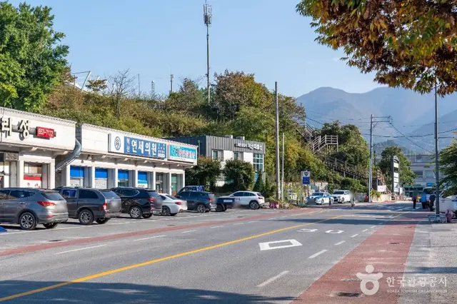 월악산 약초마을 사진