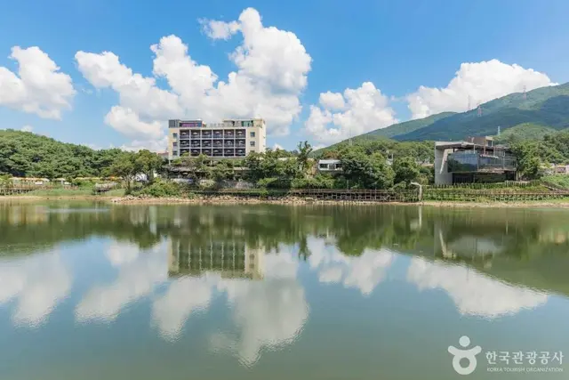 고모호수공원 사진