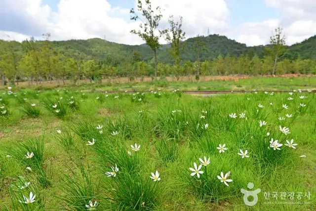 해운대수목원 사진