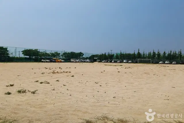 백운포체육공원 사진