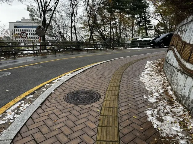 남산인권숲 사진