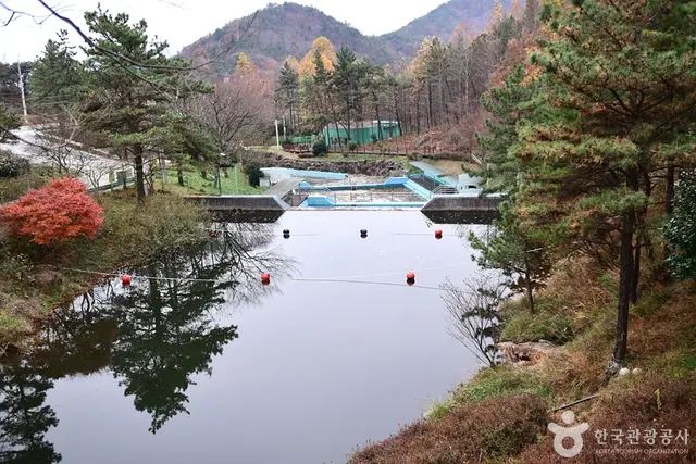 흑석산 자연휴양림 사진