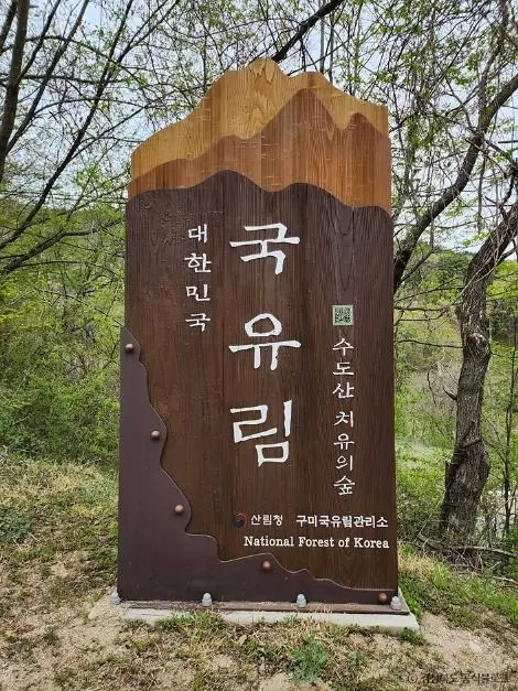 국립김천치유의숲 사진
