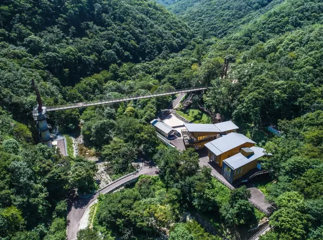 금산산림문화타운 사진